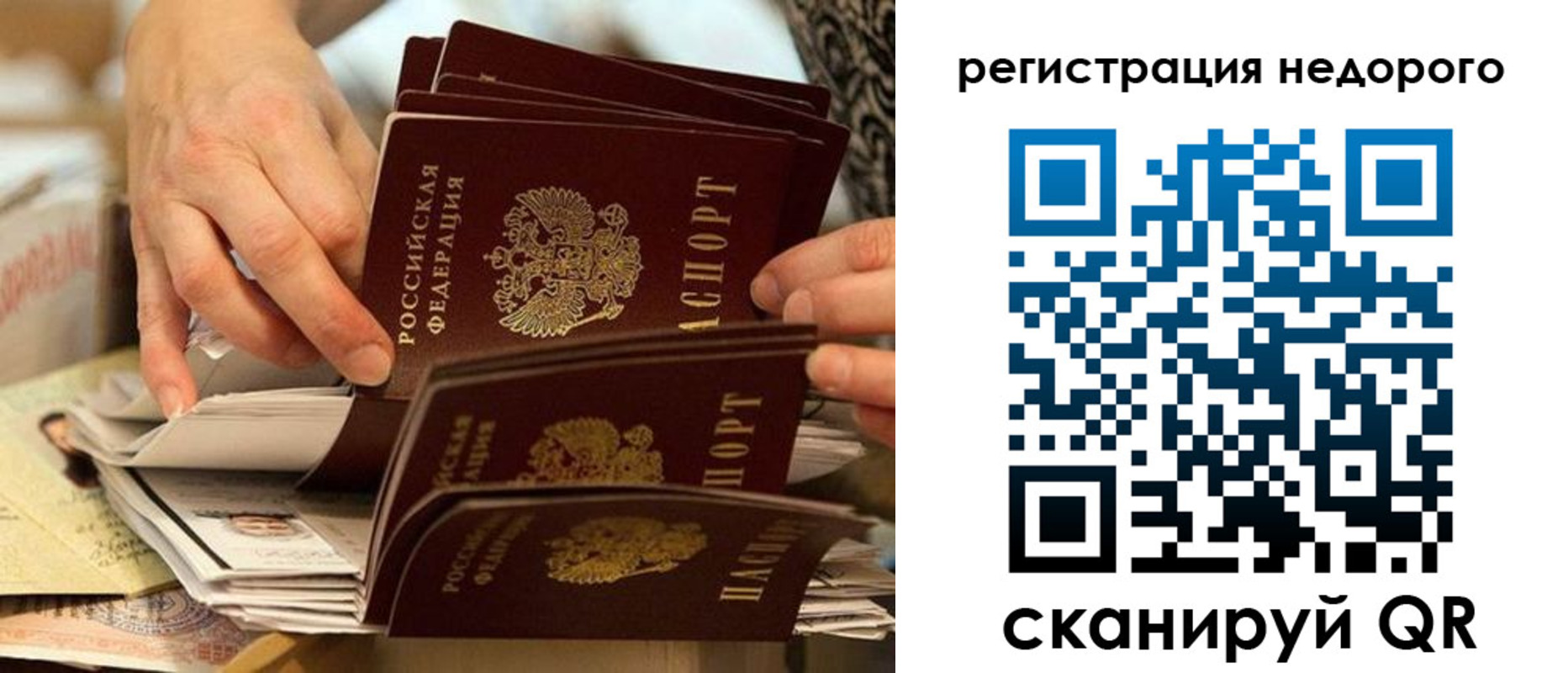 прописка в квартире в Вязьме